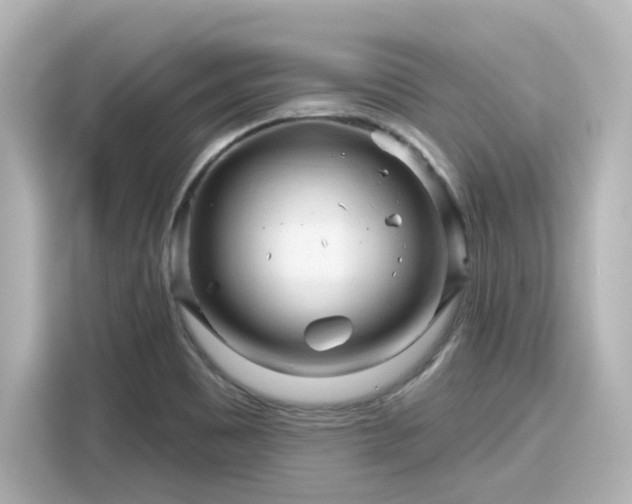 X0000116161465200911301551