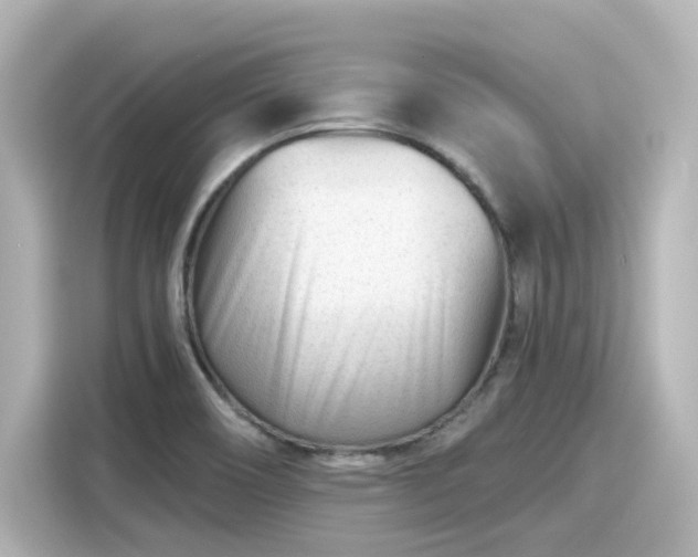 X0000116161466200911301551