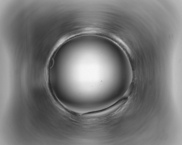 X0000116161467200911301551