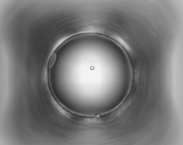 X0000116161468200911301551