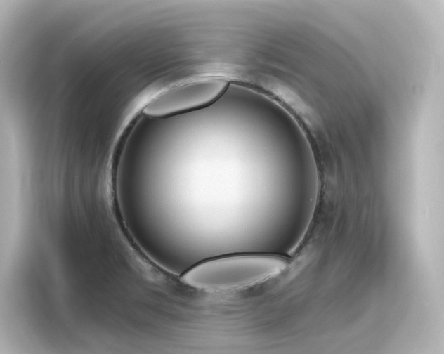 X0000116161469200911301551