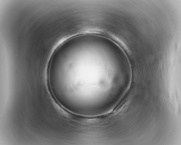 X0000116161471200911301551