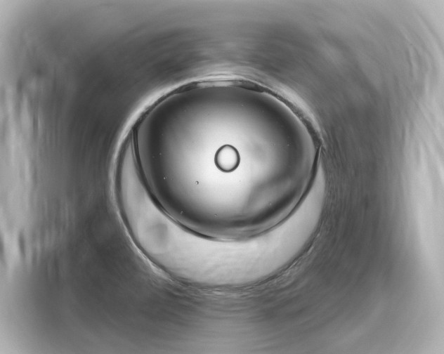 X0000116161472200911301551