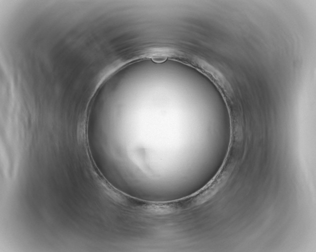 X0000116161473200911301551