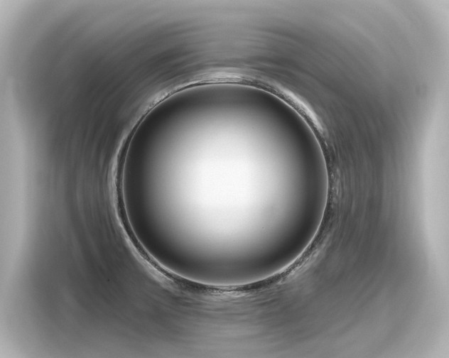 X0000116161475200911301551