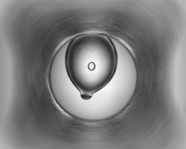 X0000116161476200911301551