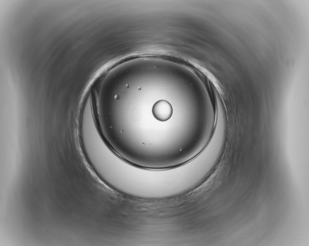 X0000116161477200911301551