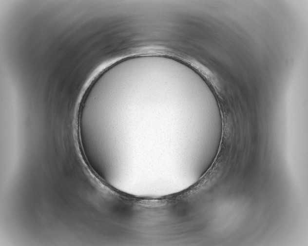 X0000116161478200911301551