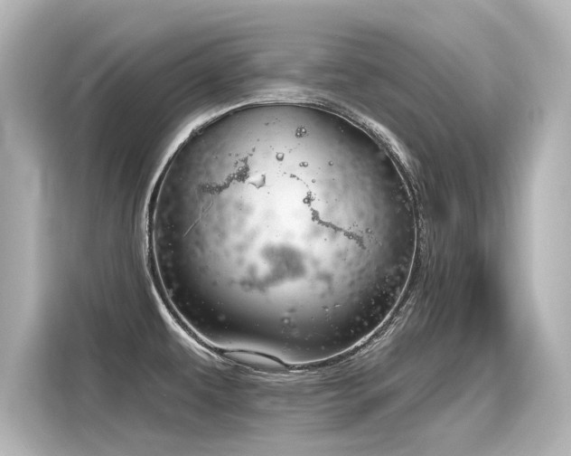 X0000116161479200911301551