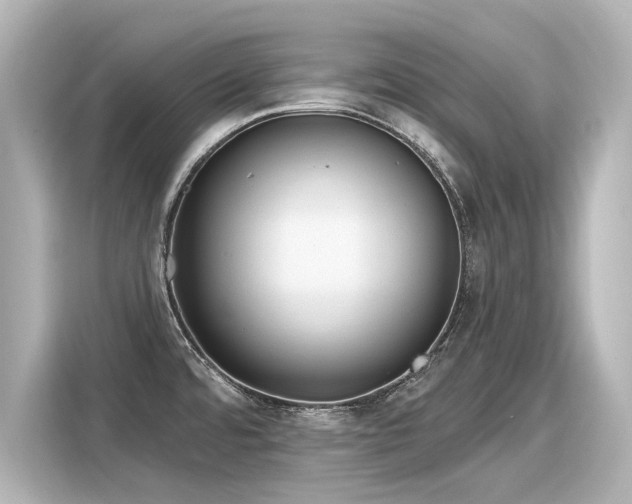 X0000116161480200911301551