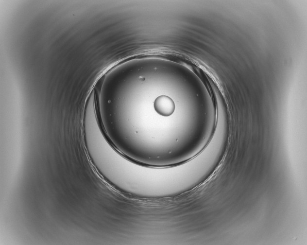 X0000116161481200911301551