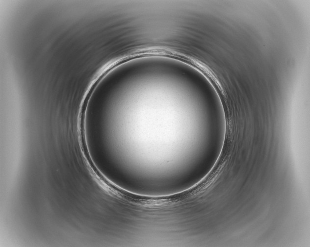 X0000116161482200911301551