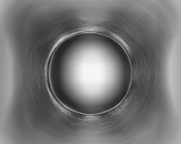 X0000116161483200911301551