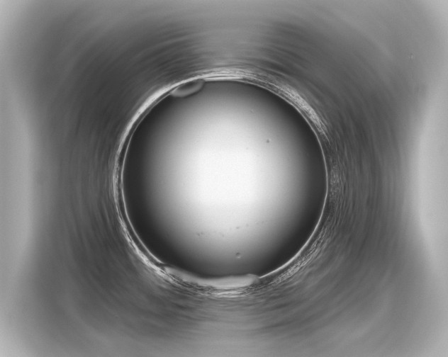 X0000116161484200911301551