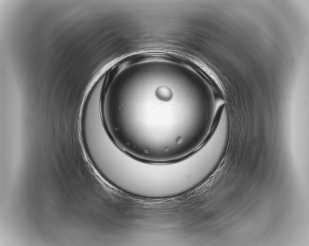 X0000116161485200911301551