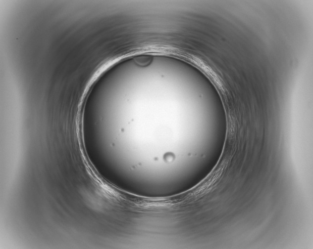 X0000116161486200911301551