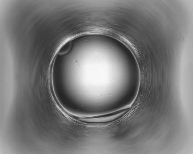 X0000116161487200911301551