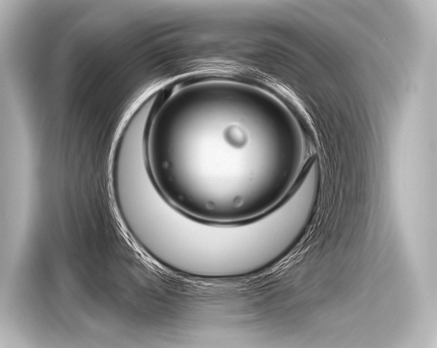 X0000116161488200911301551