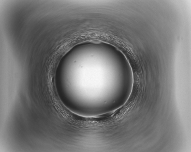 X0000116161489200911301550