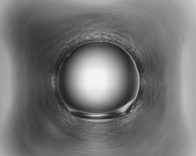 X0000116161490200911301550