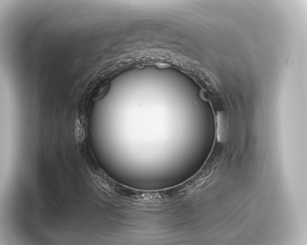 X0000116161491200911301550