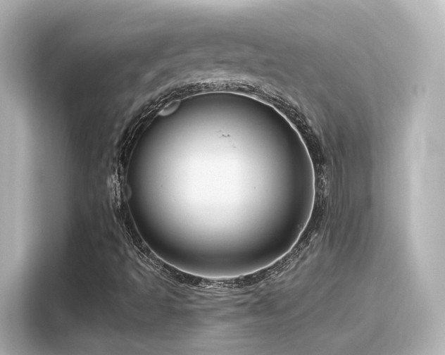 X0000116161493200911301550