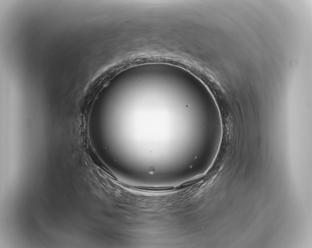 X0000116161494200911301550