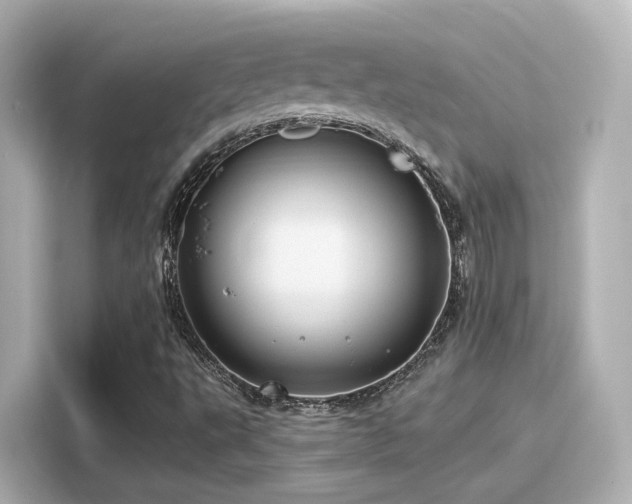 X0000116161495200911301550