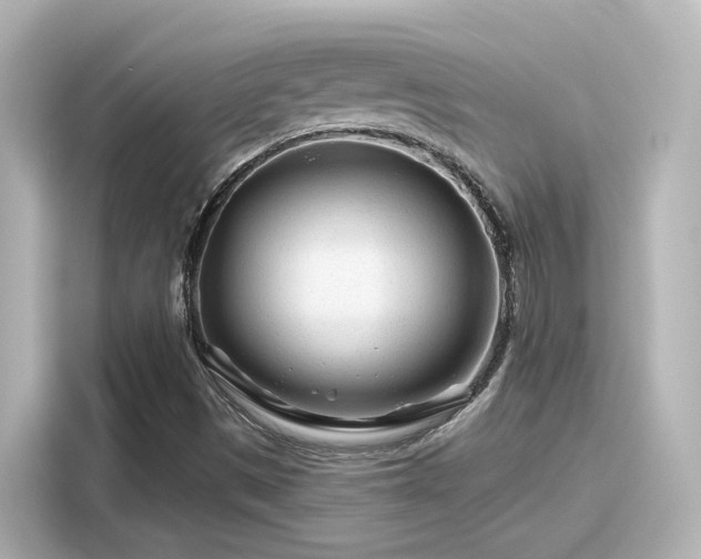 X0000116161497200911301550