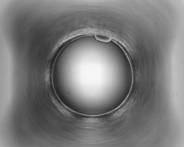 X0000116161499200911301550