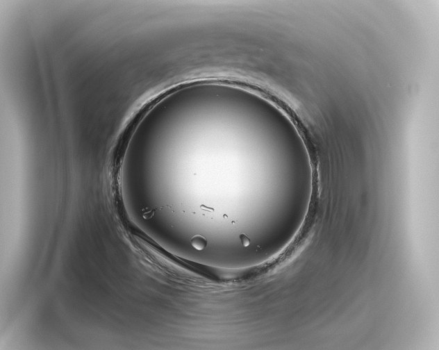 X0000116161501200911301550