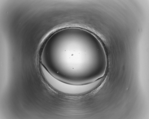 X0000116161502200911301550