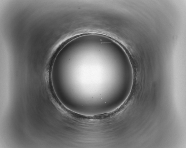 X0000116161503200911301550