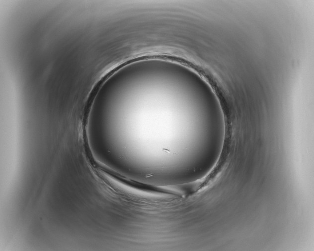 X0000116161505200911301550