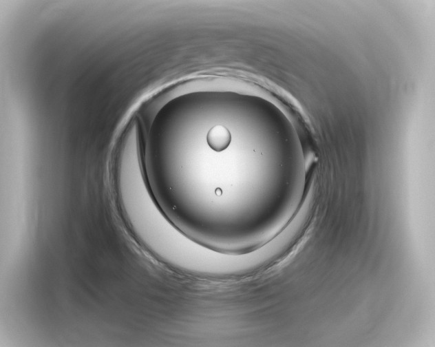 X0000116161506200911301550