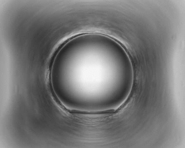 X0000116161507200911301550