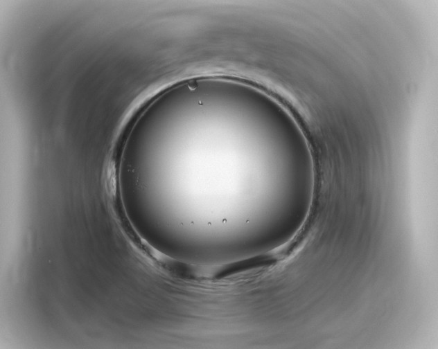 X0000116161509200911301550