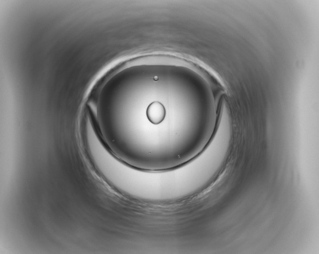 X0000116161510200911301550