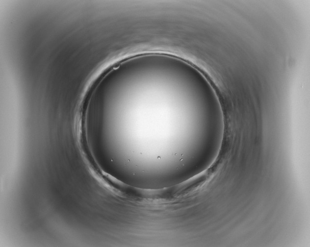 X0000116161511200911301550