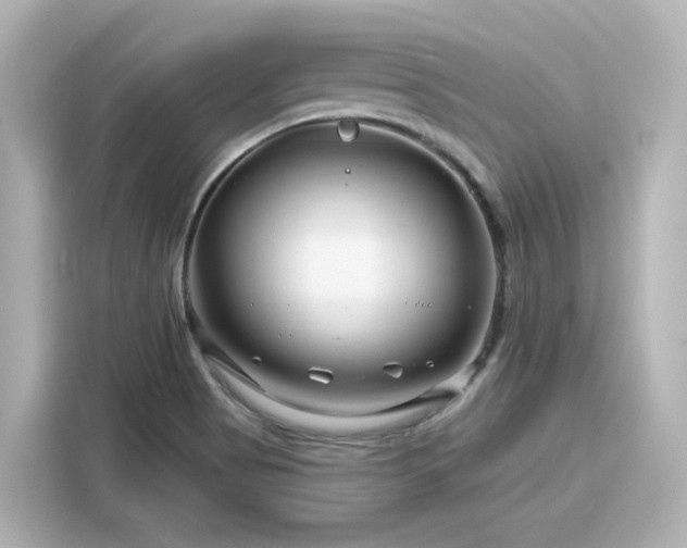 X0000116161513200911301550