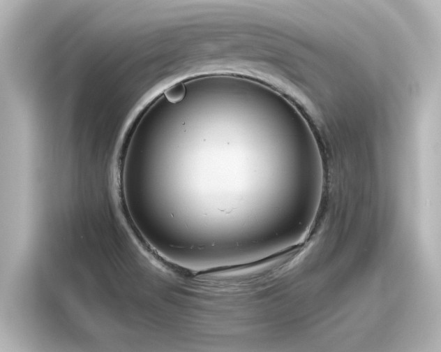 X0000116161517200911301551