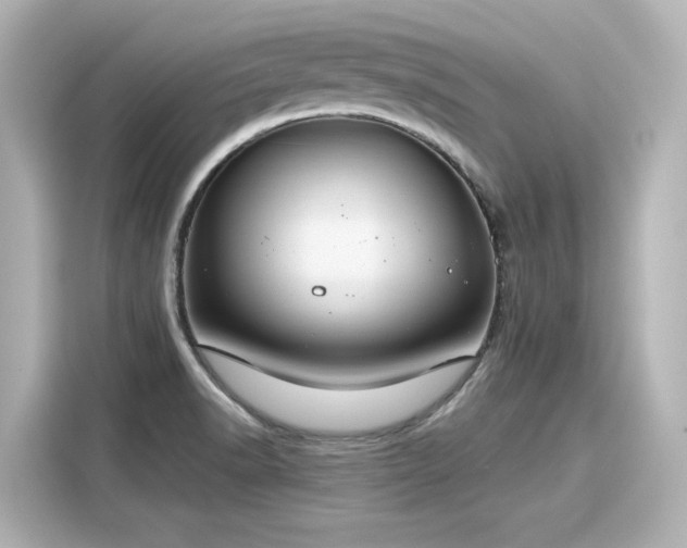 X0000116161518200911301551