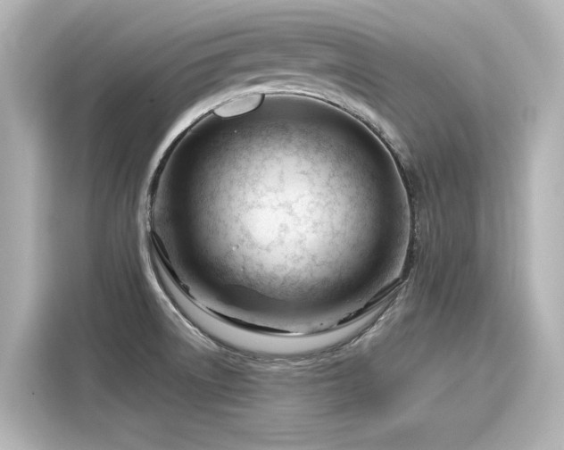 X0000116161522200911301551