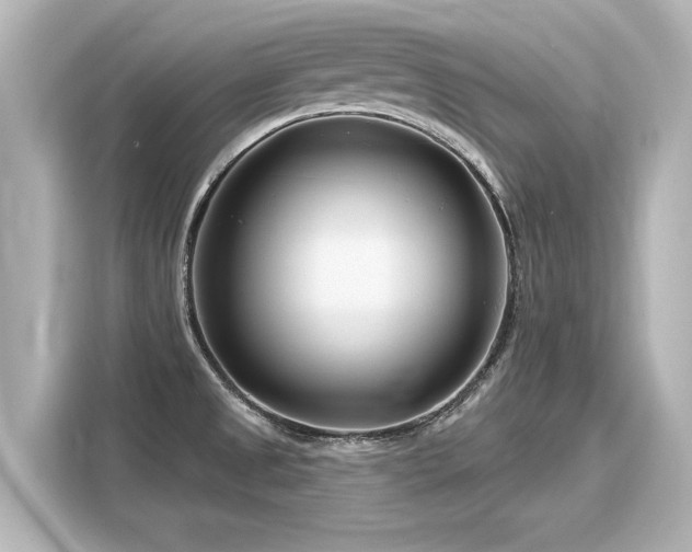 X0000116161525200911301551