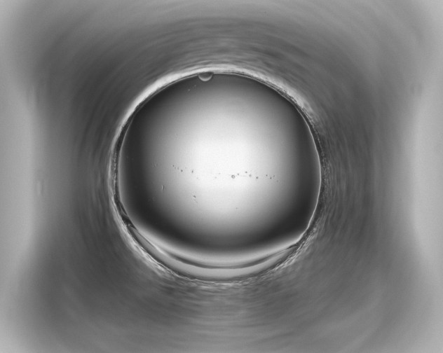 X0000116161526200911301551