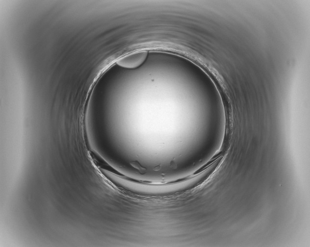 X0000116161529200911301551