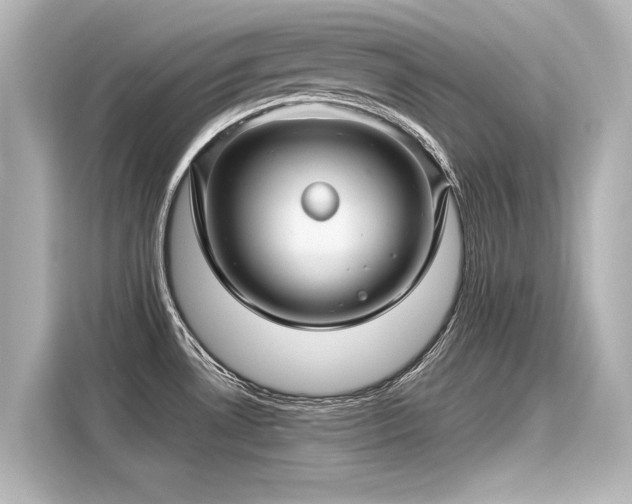 X0000116161530200911301551