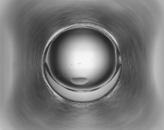 X0000116161533200911301551