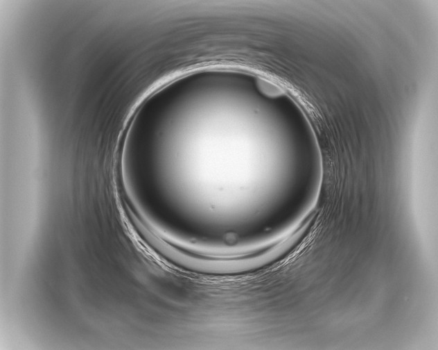 X0000116161534200911301551