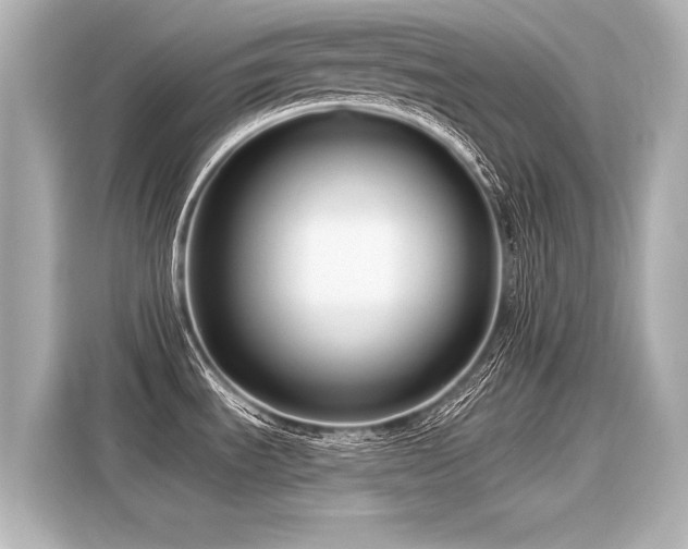 X0000116161535200911301551